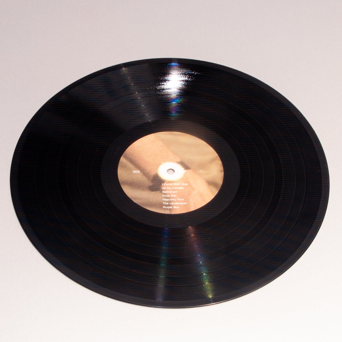 Vinyl - Equus Asinus
